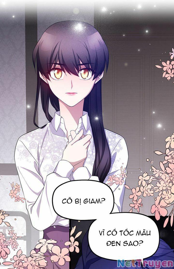 Hoàng Đế Bệ Hạ Là Mãnh Thú Chapter 4 - Trang 2