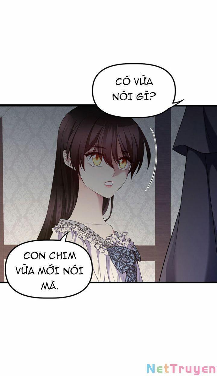 Hoàng Đế Bệ Hạ Là Mãnh Thú Chapter 8 - Trang 2