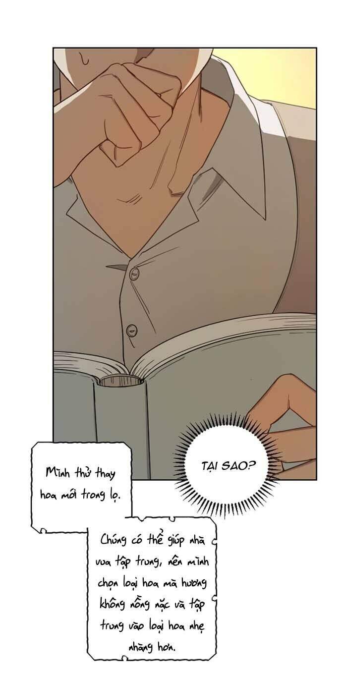 Hoàng Đế Đảo Ngược Thời Gian Chapter 2 - Trang 2