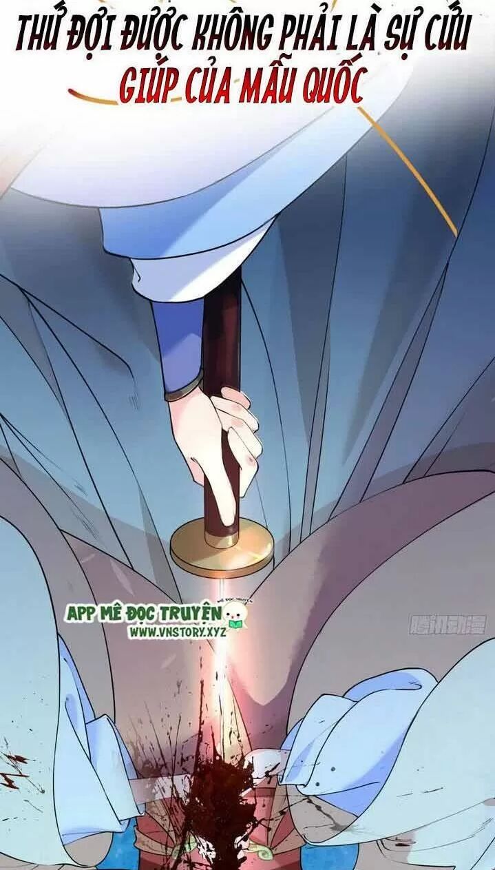 Hoàng Đệ Đừng Nhấc Đao Chapter 1 - Trang 2