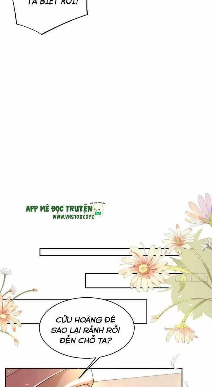 Hoàng Đệ Đừng Nhấc Đao Chapter 11 - Trang 2
