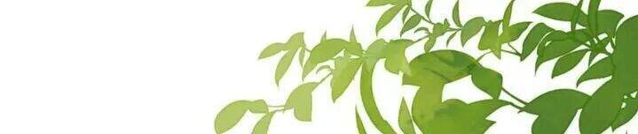 Hoàng Đệ Đừng Nhấc Đao Chapter 27 - Trang 2