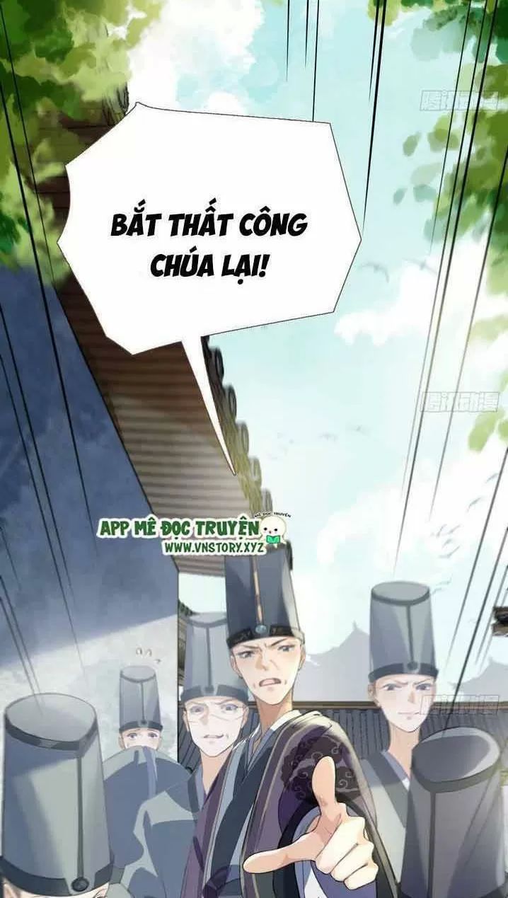 Hoàng Đệ Đừng Nhấc Đao Chapter 3 - Trang 2