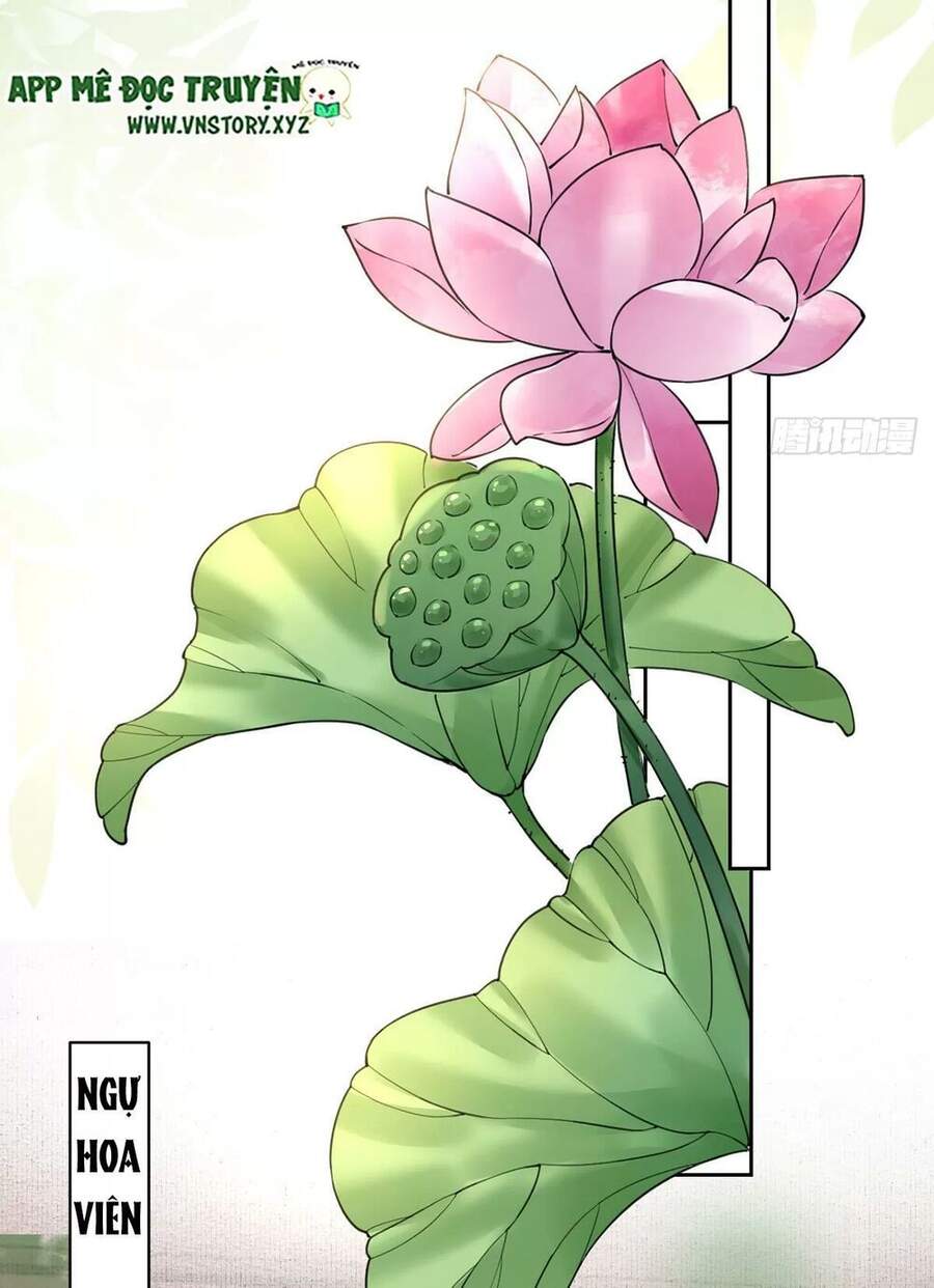 Hoàng Đệ Đừng Nhấc Đao Chapter 41 - Trang 2