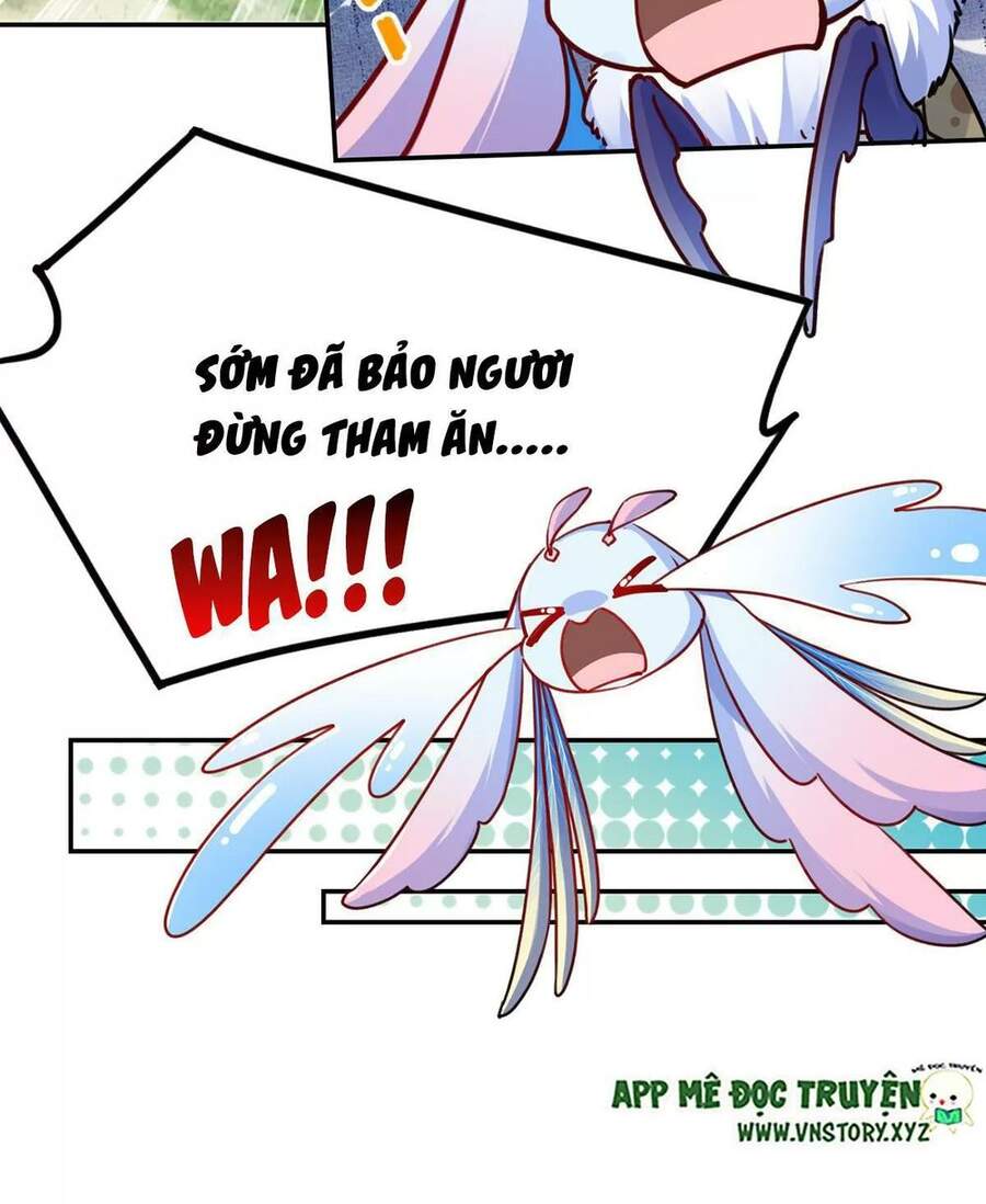 Hoàng Đệ Đừng Nhấc Đao Chapter 52 - Trang 2