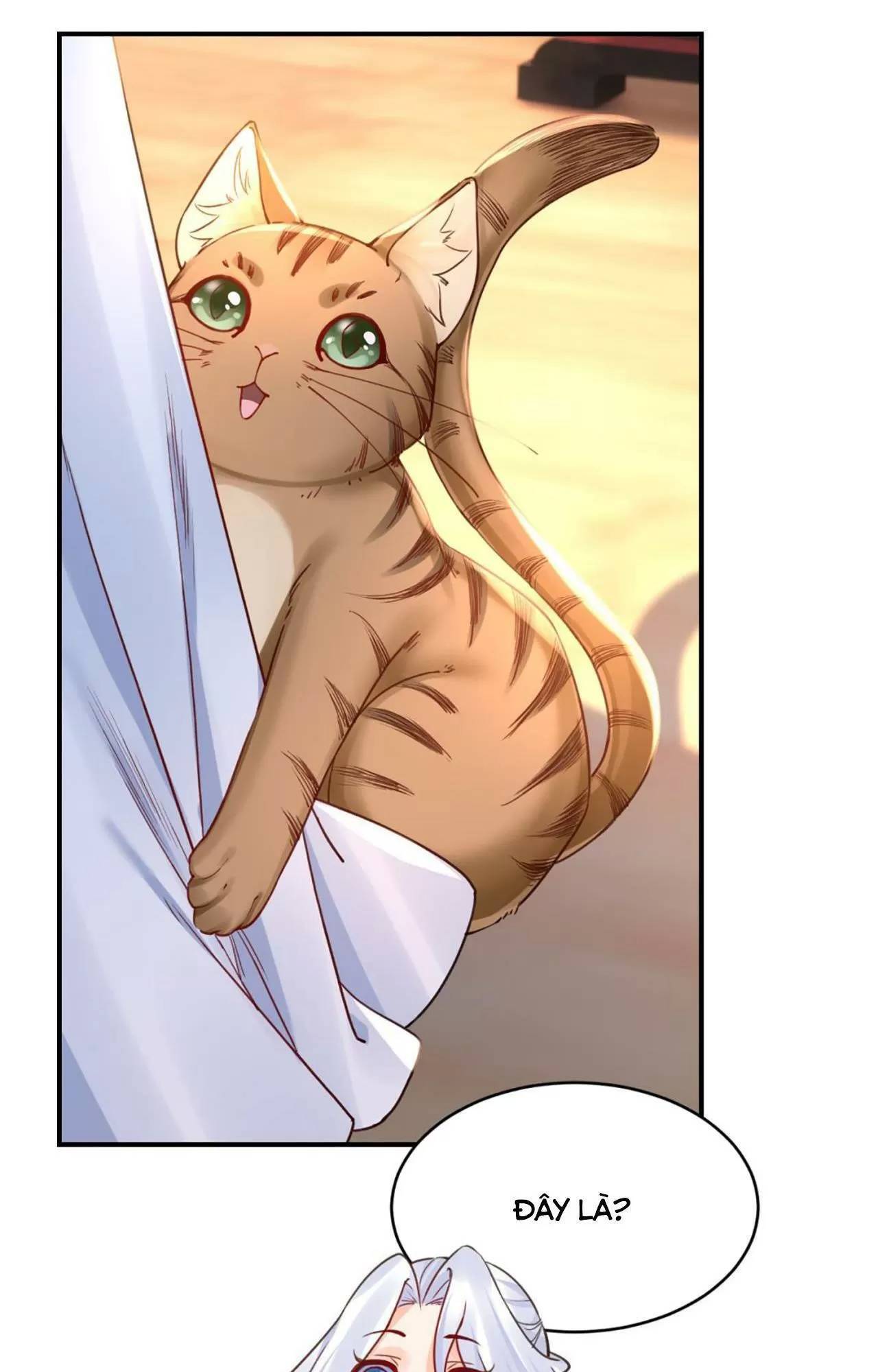 Hoàng Đệ Đừng Nhấc Đao Chapter 67 - Trang 2