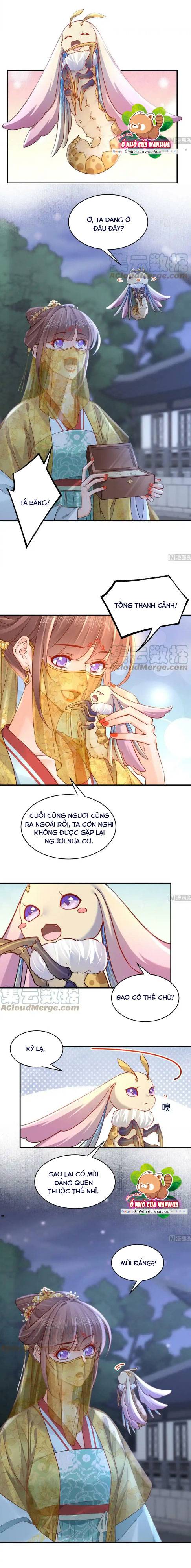 Hoàng Đệ Đừng Nhấc Đao Chapter 81 - Trang 2