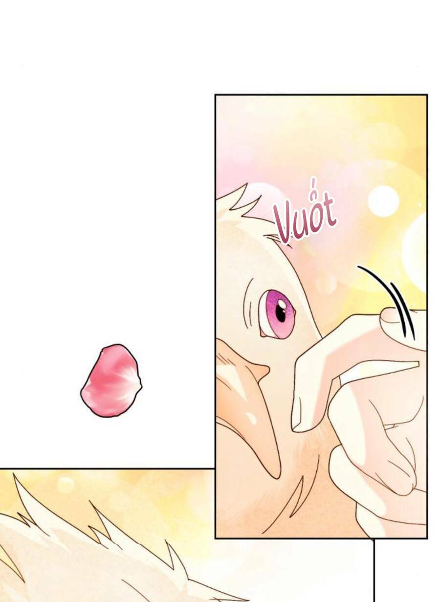 Hoàng Hậu Muốn Tái Hôn Chapter 110 - Trang 2