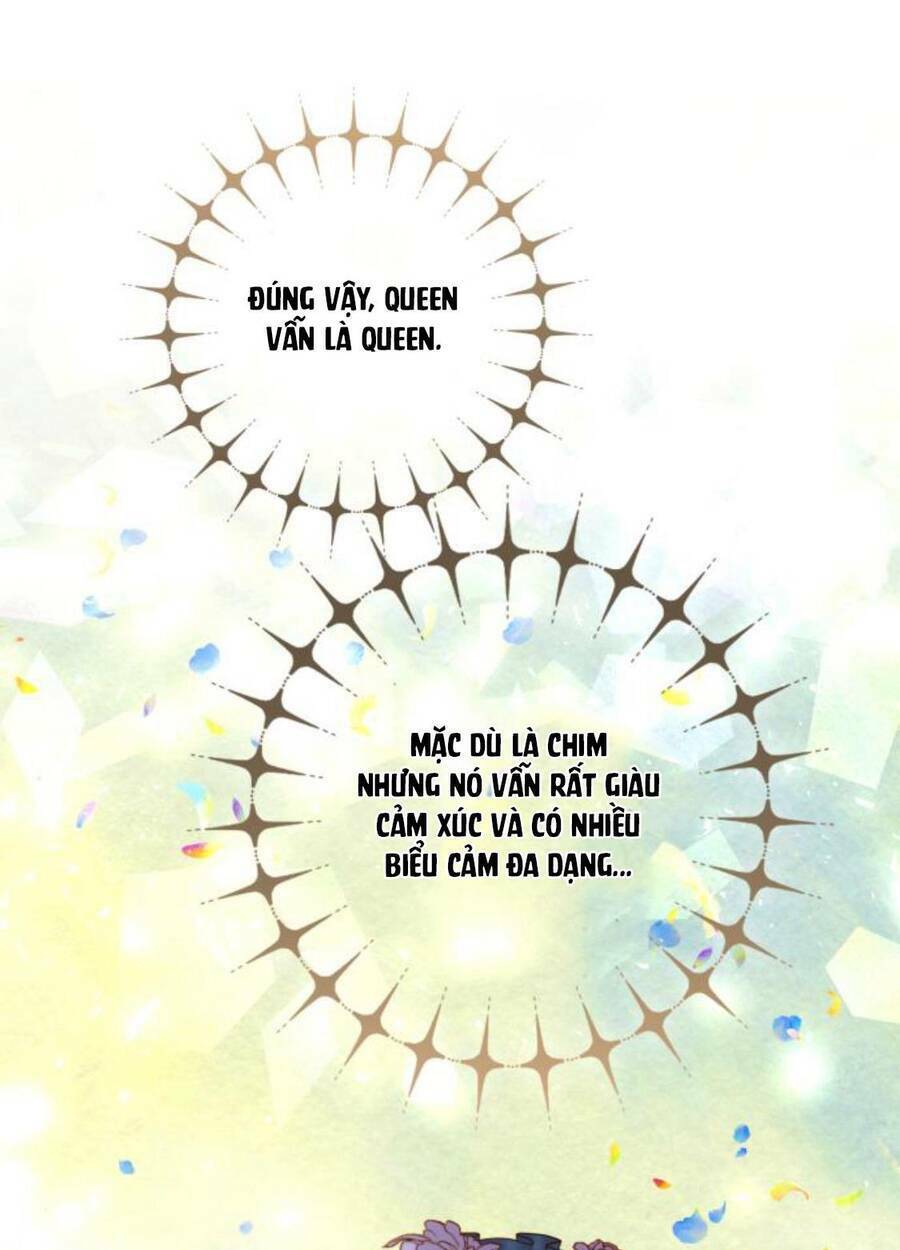 Hoàng Hậu Muốn Tái Hôn Chapter 110 - Trang 2