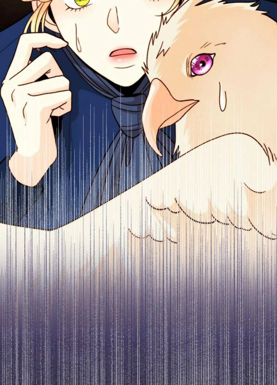 Hoàng Hậu Muốn Tái Hôn Chapter 110 - Trang 2