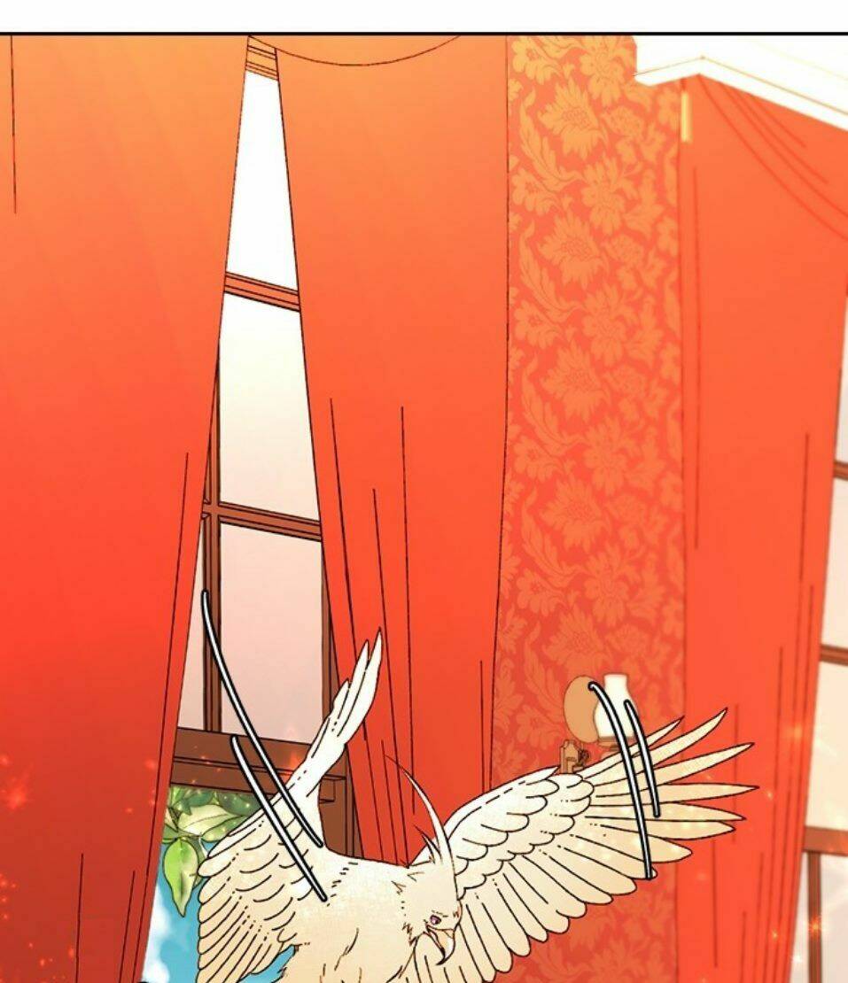 Hoàng Hậu Muốn Tái Hôn Chapter 24 - Trang 2