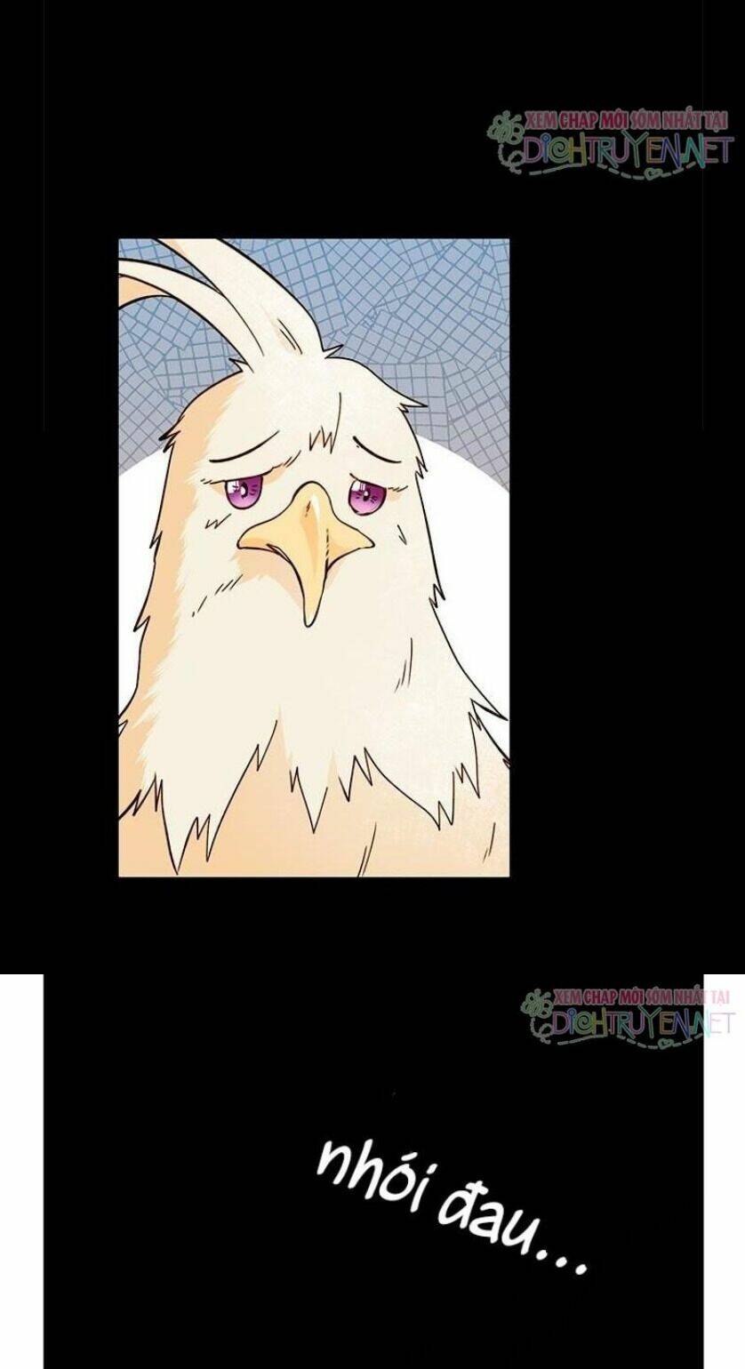 Hoàng Hậu Muốn Tái Hôn Chapter 38 - Trang 2