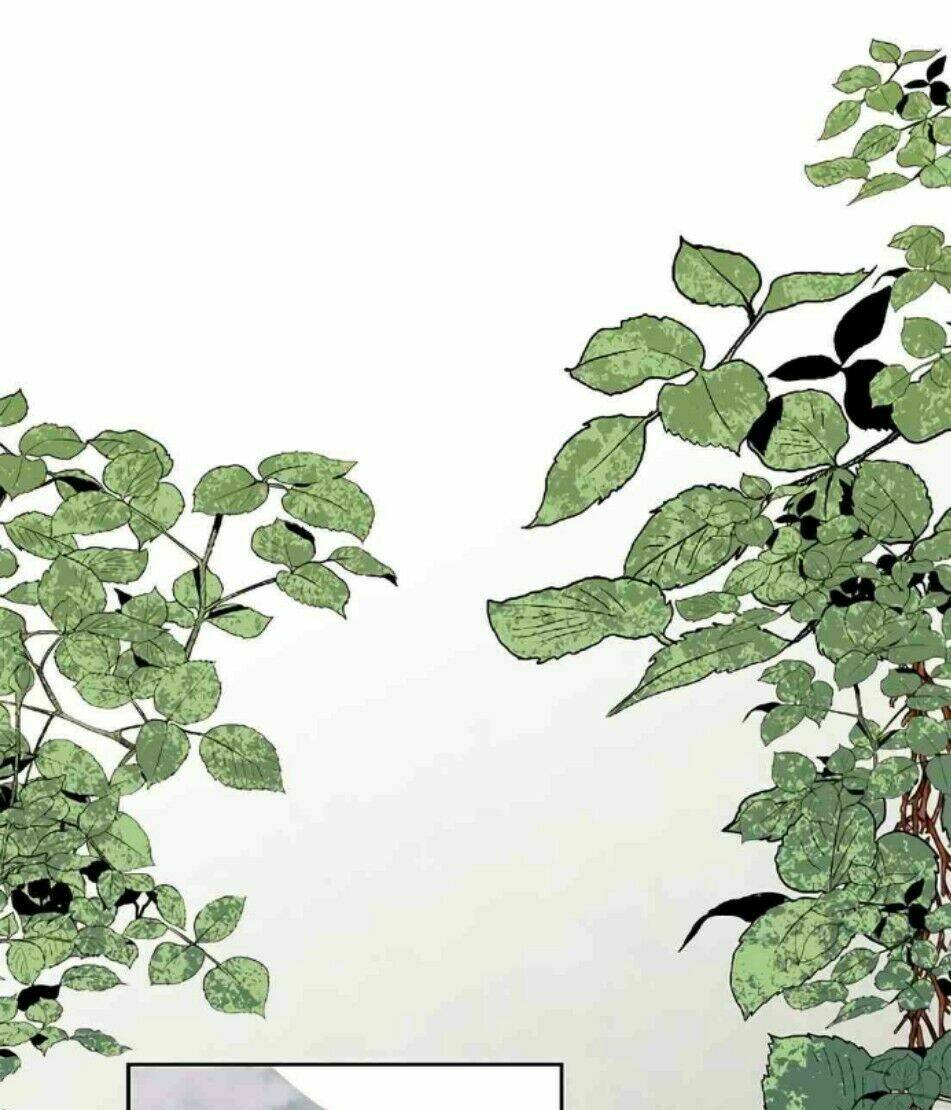 Hoàng Hậu Muốn Tái Hôn Chapter 8 - Trang 2