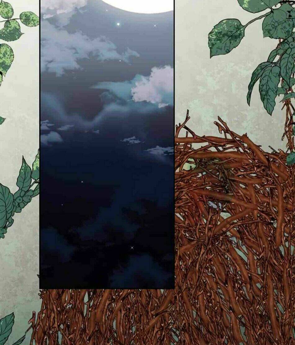 Hoàng Hậu Muốn Tái Hôn Chapter 8 - Trang 2