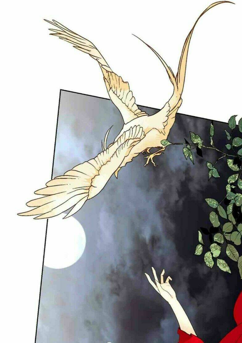 Hoàng Hậu Muốn Tái Hôn Chapter 8 - Trang 2