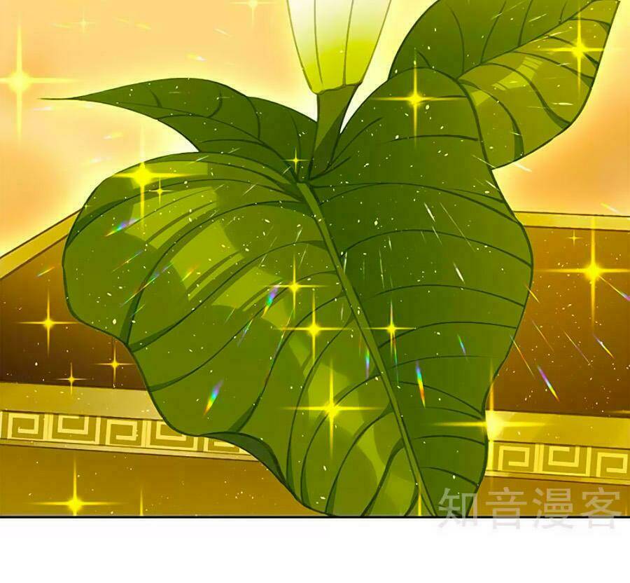 Hoàng Hậu Nương Nương Đích Năm Xu Đặc Hiệu Chapter 151 - Trang 2