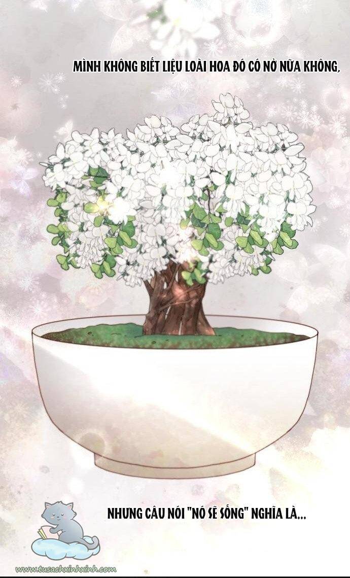 Hoàng Hậu Tái Hôn Chapter 120 - Trang 2