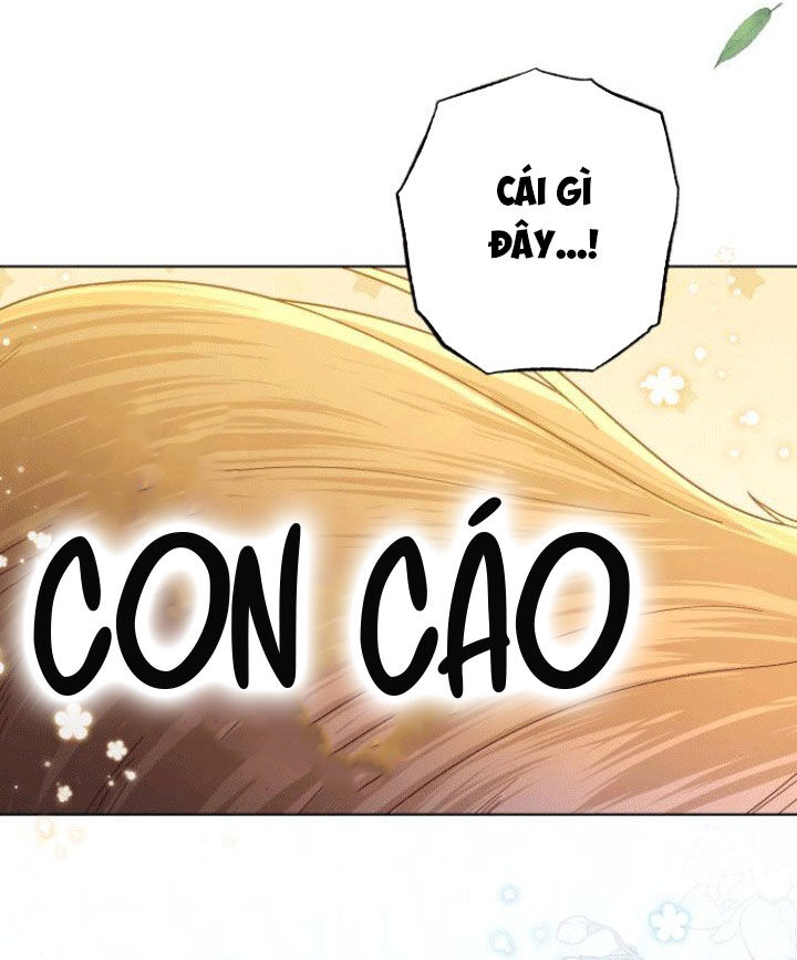 Hoàng Hậu Tái Hôn Chapter 142 - Trang 2
