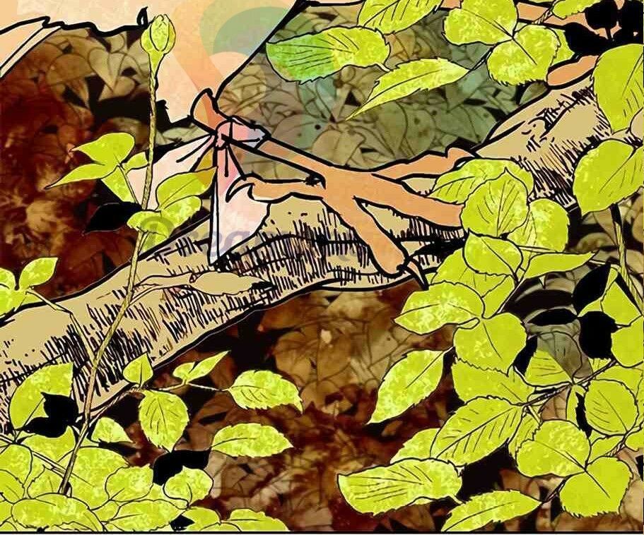 Hoàng Hậu Tái Hôn Chapter 6 - Trang 2