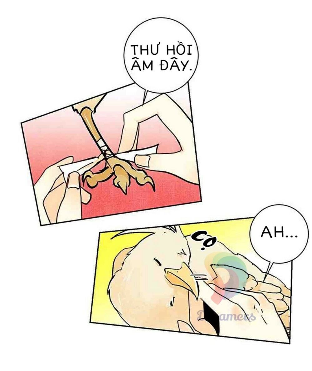 Hoàng Hậu Tái Hôn Chapter 6 - Trang 2