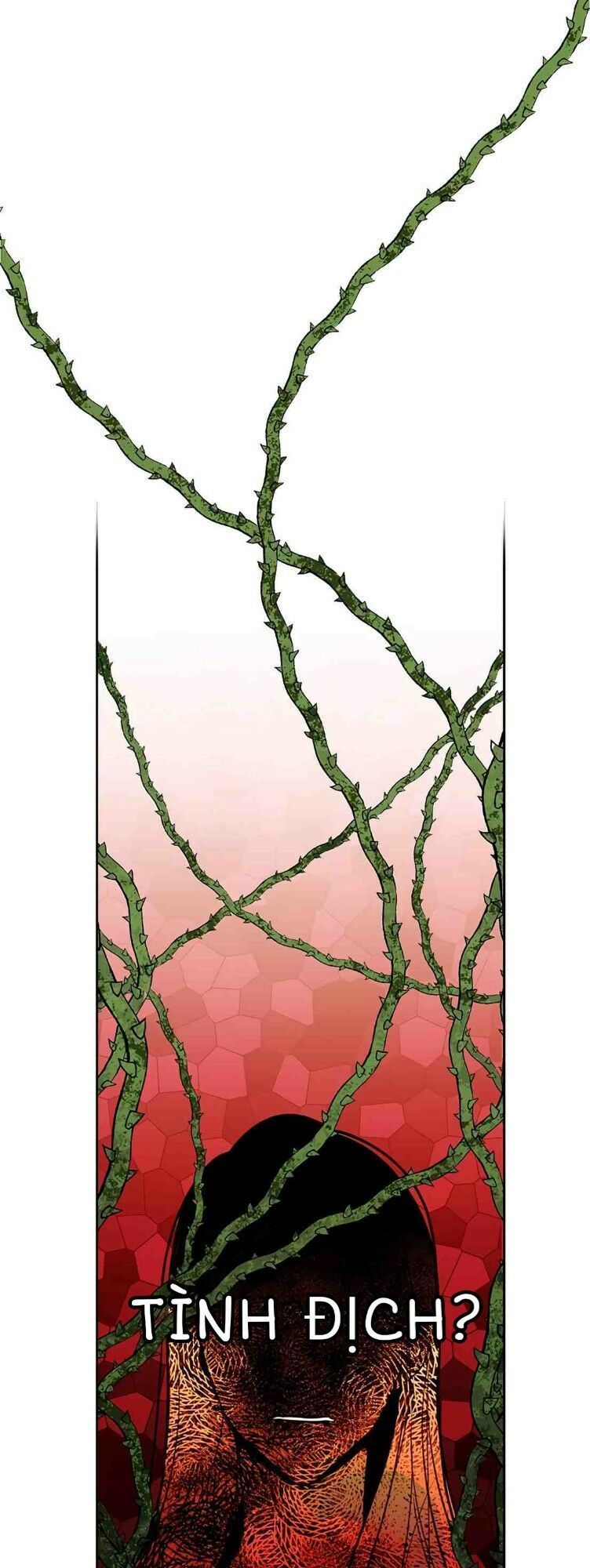 Hoàng Hậu Tái Hôn Chapter 8 - Trang 2