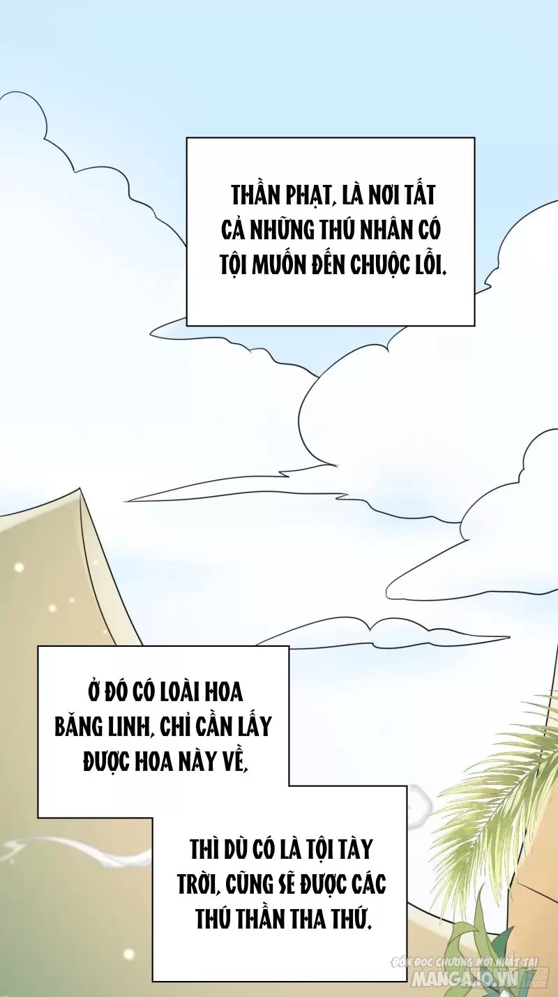 Hoảng Hốt Sau Khi Xuyên Thành Kiều Thê Của Thú Nhân Chapter 1 - Trang 2