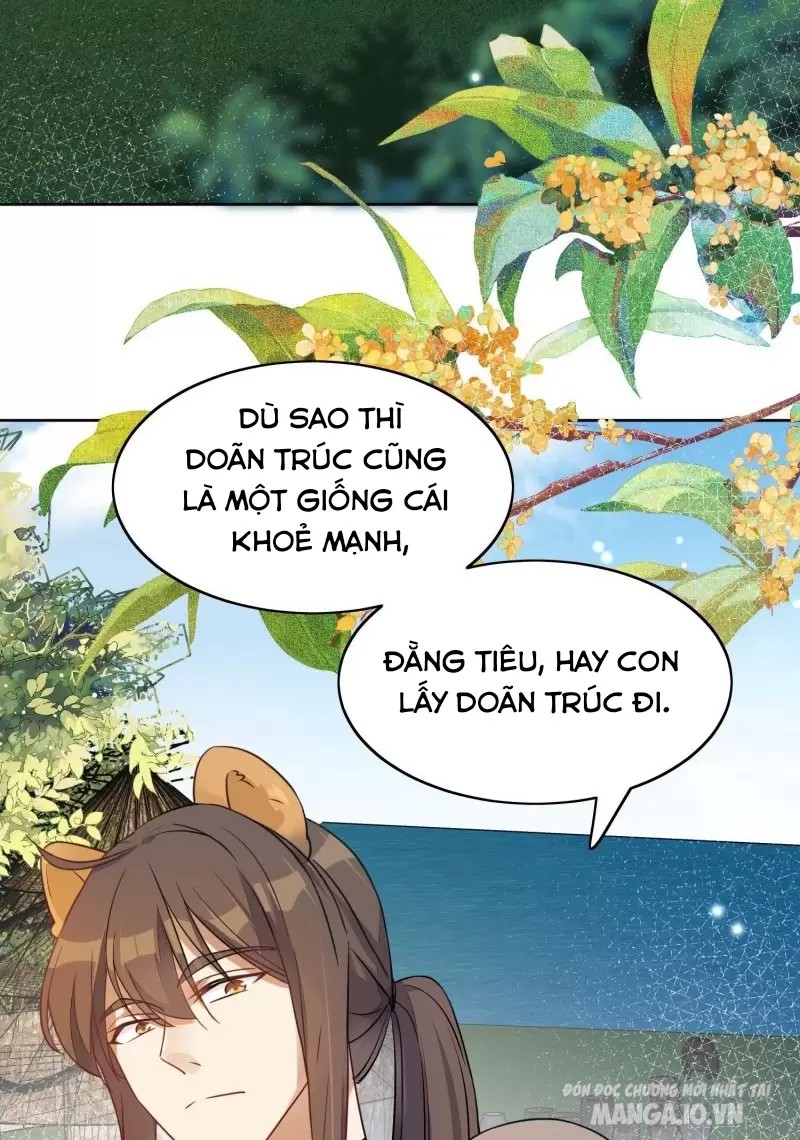 Hoảng Hốt Sau Khi Xuyên Thành Kiều Thê Của Thú Nhân Chapter 1 - Trang 2