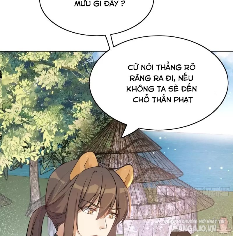 Hoảng Hốt Sau Khi Xuyên Thành Kiều Thê Của Thú Nhân Chapter 1 - Trang 2