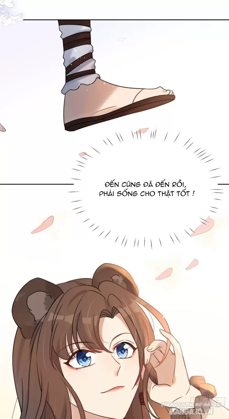 Hoảng Hốt Sau Khi Xuyên Thành Kiều Thê Của Thú Nhân Chapter 1 - Trang 2