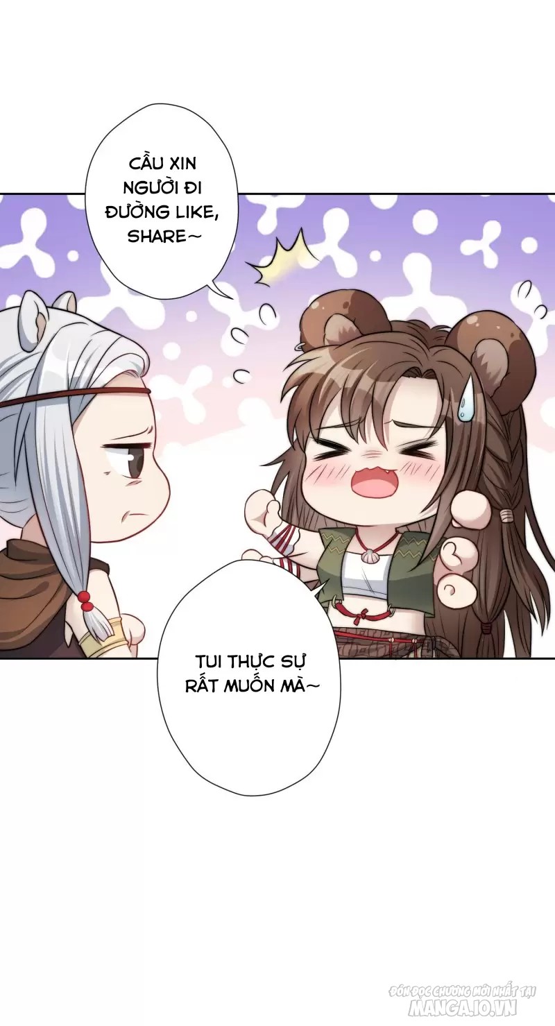 Hoảng Hốt Sau Khi Xuyên Thành Kiều Thê Của Thú Nhân Chapter 1 - Trang 2