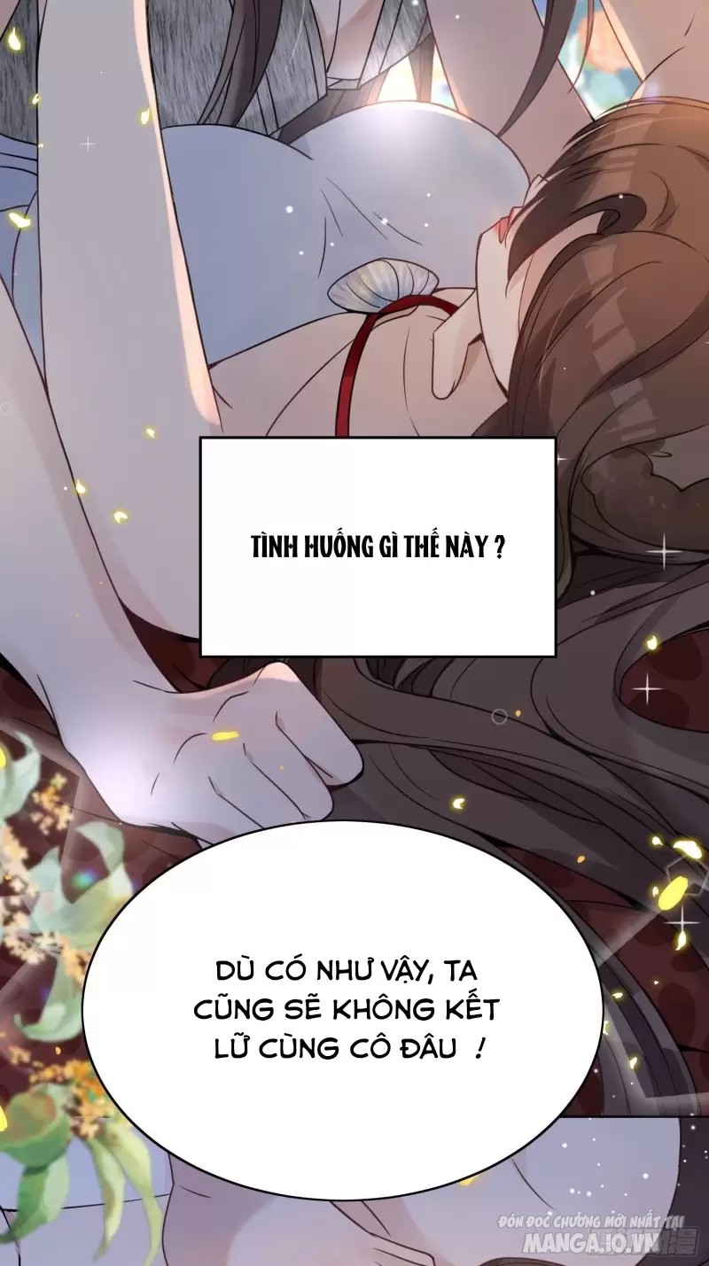 Hoảng Hốt Sau Khi Xuyên Thành Kiều Thê Của Thú Nhân Chapter 1 - Trang 2