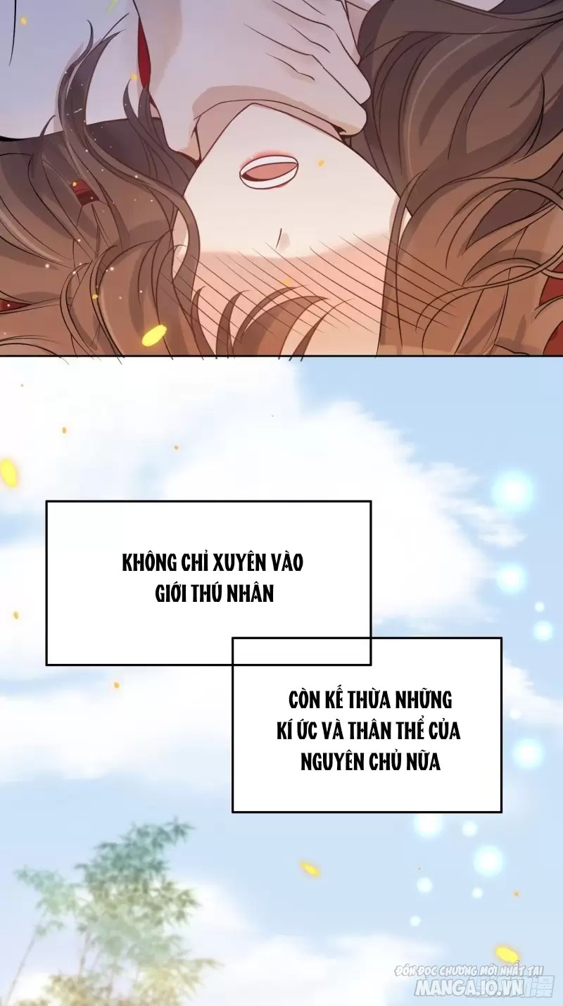 Hoảng Hốt Sau Khi Xuyên Thành Kiều Thê Của Thú Nhân Chapter 1 - Trang 2