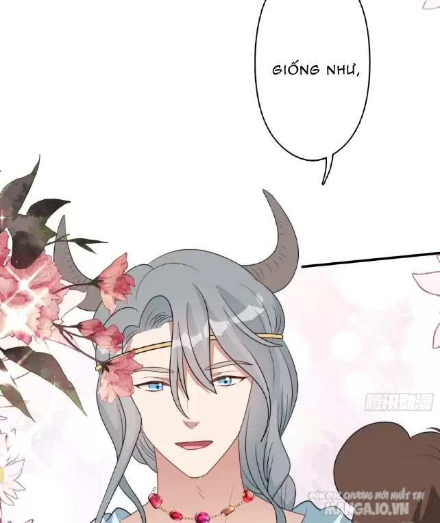 Hoảng Hốt Sau Khi Xuyên Thành Kiều Thê Của Thú Nhân Chapter 106 - Trang 2