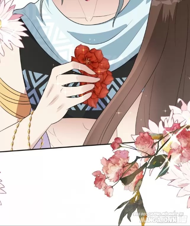 Hoảng Hốt Sau Khi Xuyên Thành Kiều Thê Của Thú Nhân Chapter 106 - Trang 2