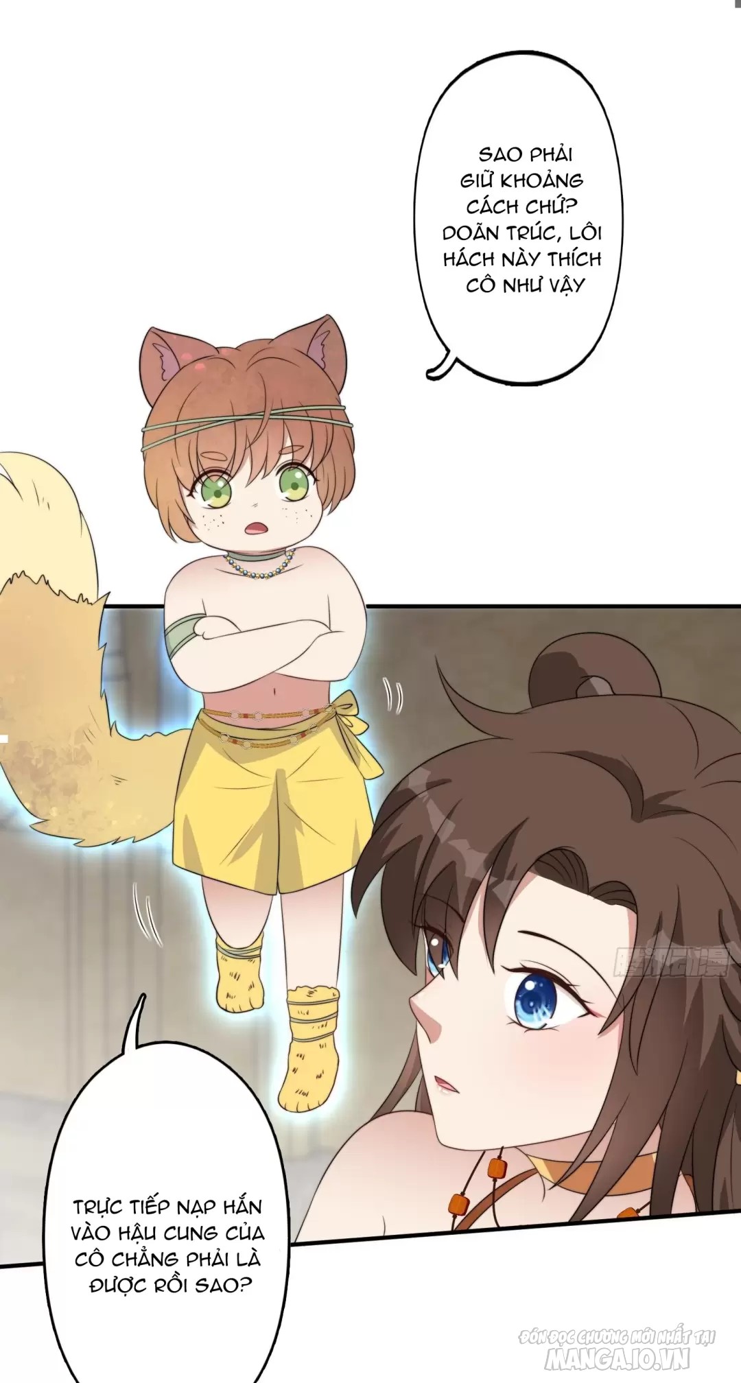 Hoảng Hốt Sau Khi Xuyên Thành Kiều Thê Của Thú Nhân Chapter 117 - Trang 2