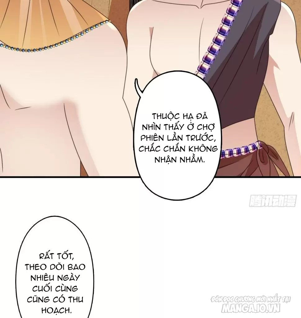 Hoảng Hốt Sau Khi Xuyên Thành Kiều Thê Của Thú Nhân Chapter 131 - Trang 2