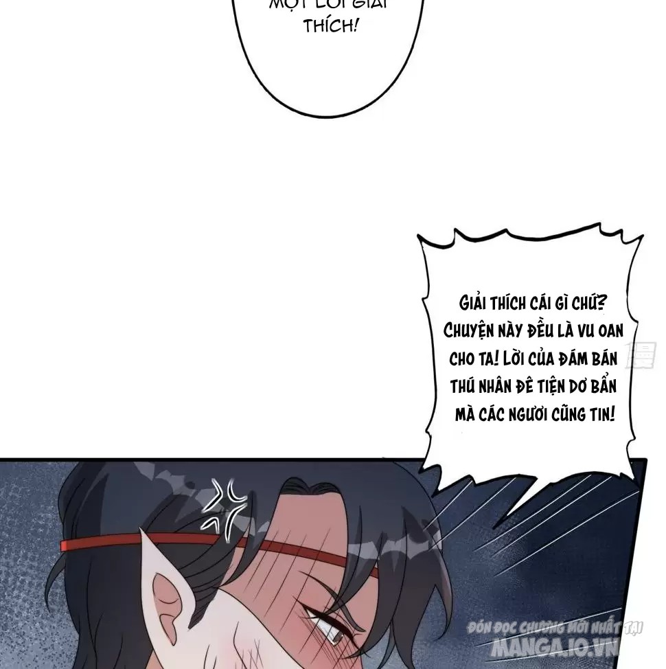 Hoảng Hốt Sau Khi Xuyên Thành Kiều Thê Của Thú Nhân Chapter 134 - Trang 2