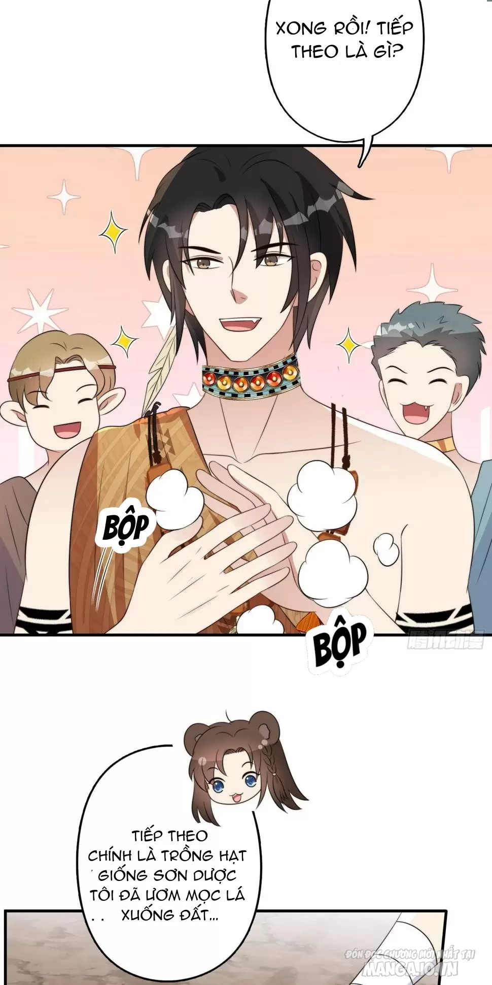 Hoảng Hốt Sau Khi Xuyên Thành Kiều Thê Của Thú Nhân Chapter 143 - Trang 2