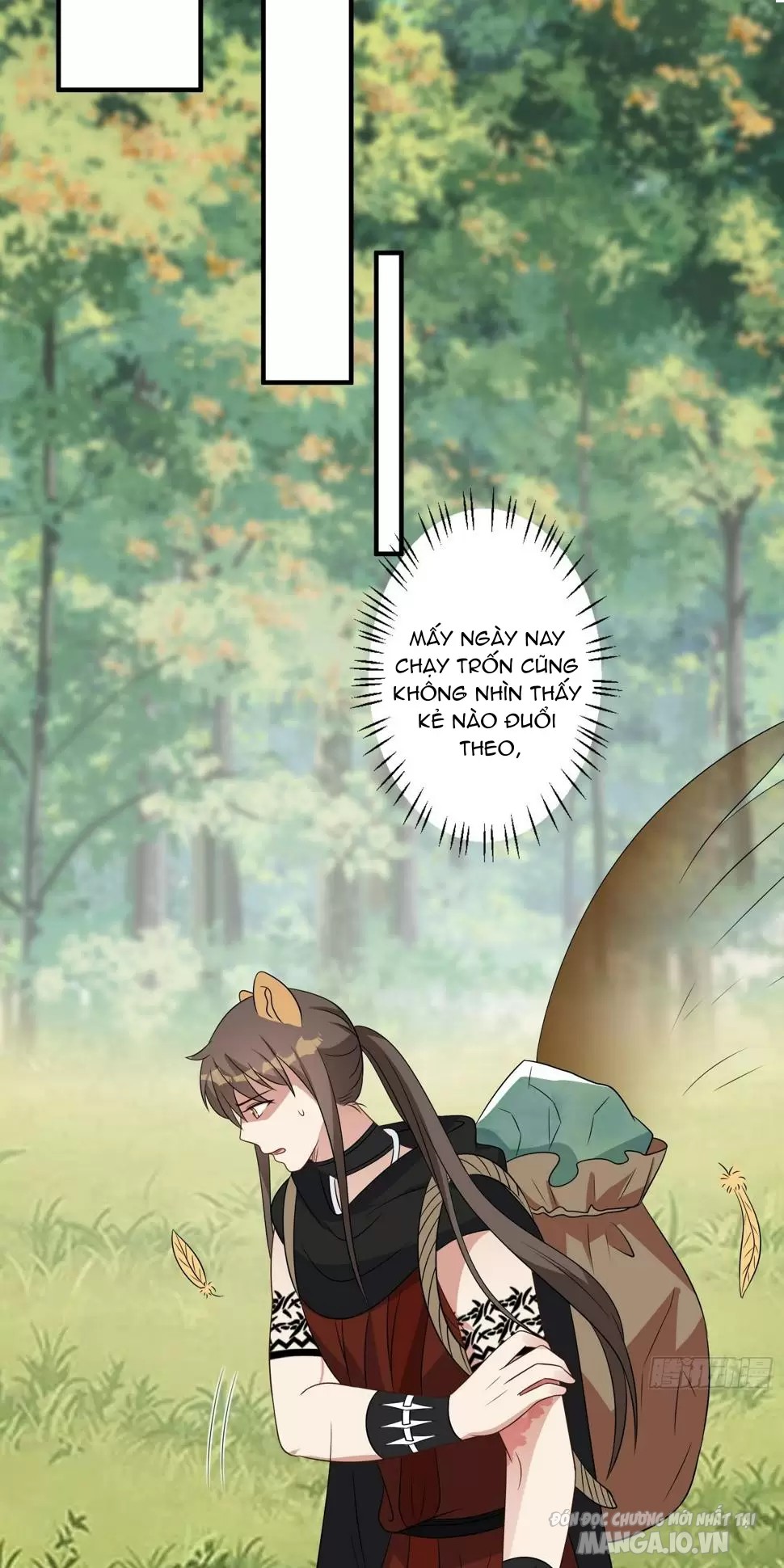 Hoảng Hốt Sau Khi Xuyên Thành Kiều Thê Của Thú Nhân Chapter 145 - Trang 2