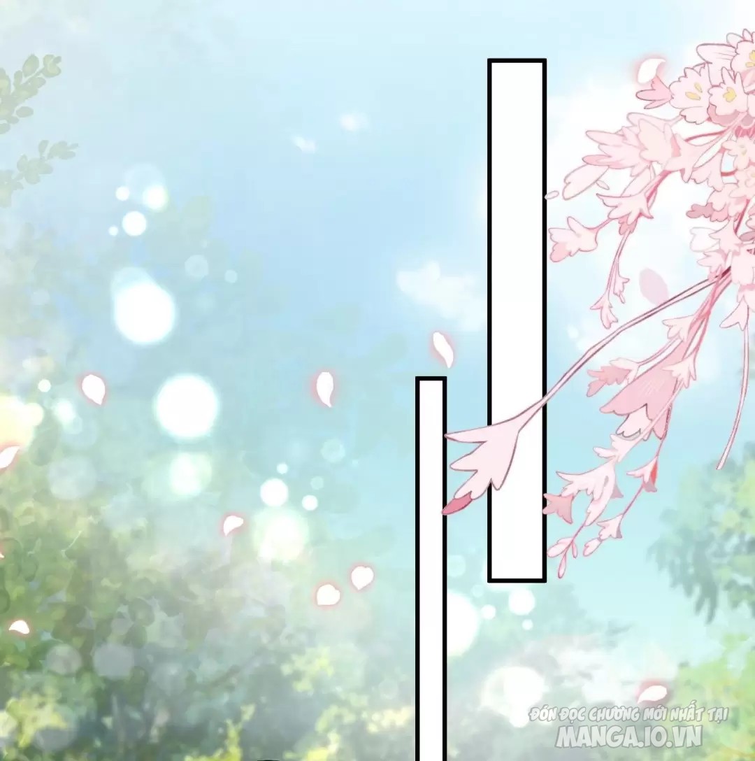 Hoảng Hốt Sau Khi Xuyên Thành Kiều Thê Của Thú Nhân Chapter 16 - Trang 2