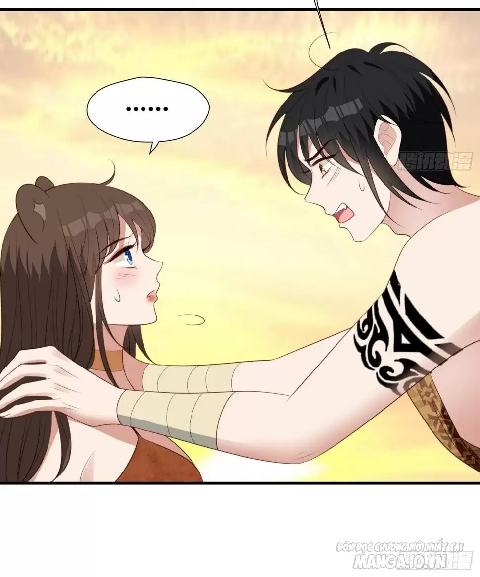 Hoảng Hốt Sau Khi Xuyên Thành Kiều Thê Của Thú Nhân Chapter 164 - Trang 2