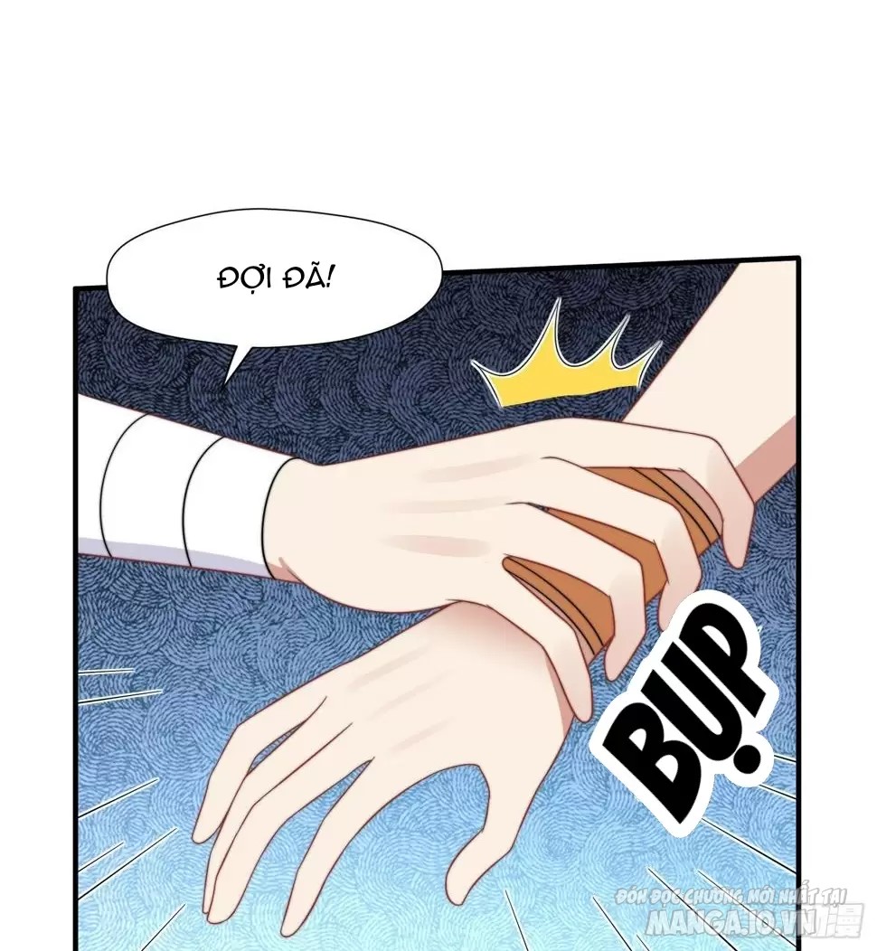 Hoảng Hốt Sau Khi Xuyên Thành Kiều Thê Của Thú Nhân Chapter 168 - Trang 2