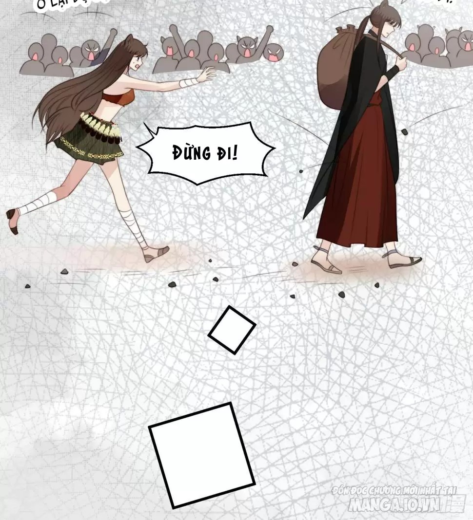 Hoảng Hốt Sau Khi Xuyên Thành Kiều Thê Của Thú Nhân Chapter 185 - Trang 2