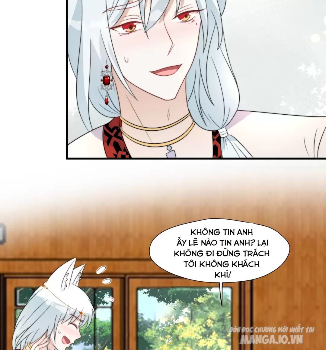 Hoảng Hốt Sau Khi Xuyên Thành Kiều Thê Của Thú Nhân Chapter 219 - Trang 2