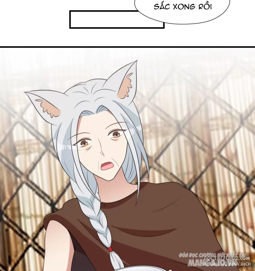 Hoảng Hốt Sau Khi Xuyên Thành Kiều Thê Của Thú Nhân Chapter 236 - Trang 2