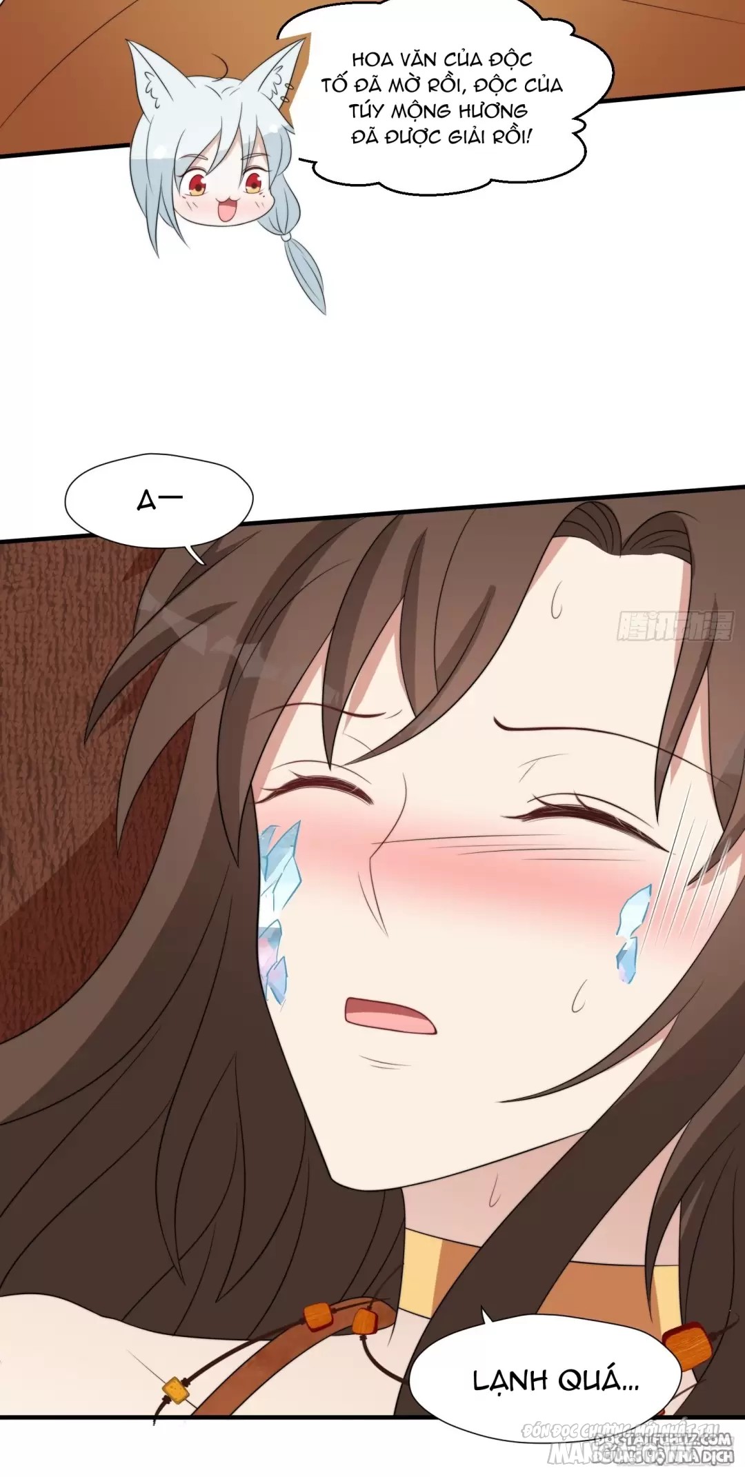 Hoảng Hốt Sau Khi Xuyên Thành Kiều Thê Của Thú Nhân Chapter 236 - Trang 2