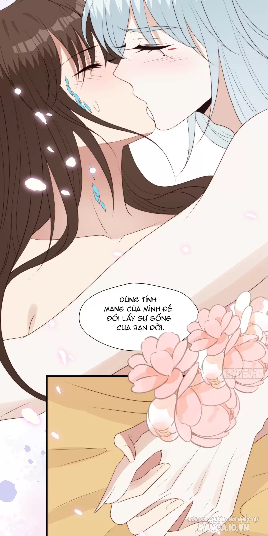 Hoảng Hốt Sau Khi Xuyên Thành Kiều Thê Của Thú Nhân Chapter 238 - Trang 2