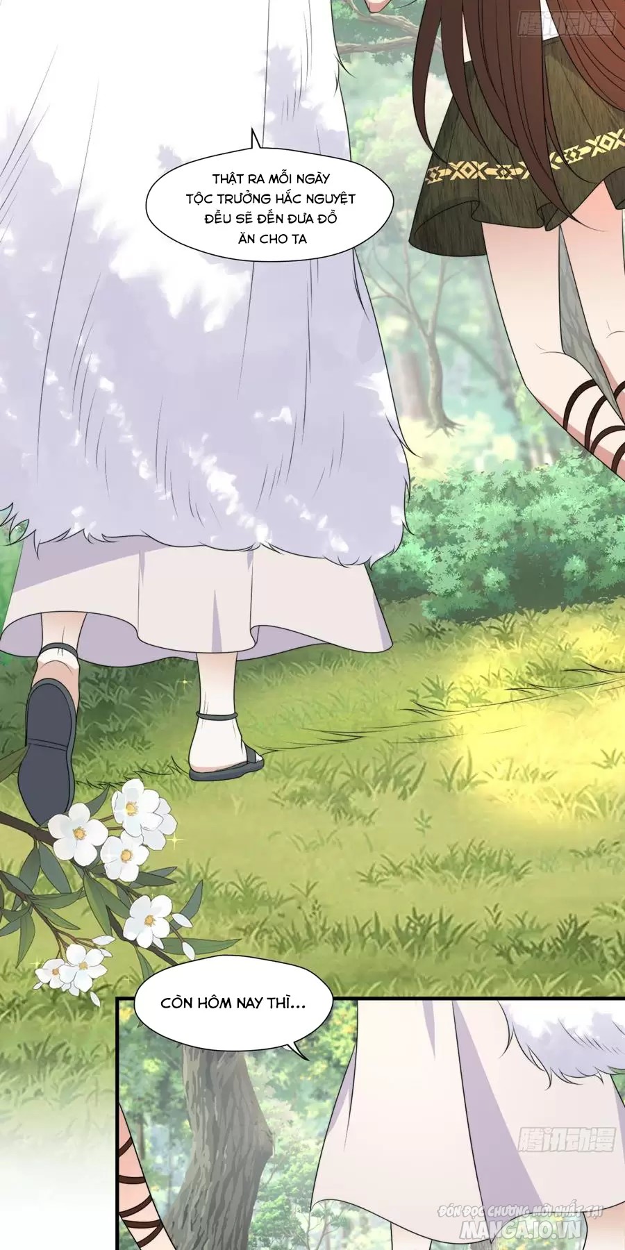 Hoảng Hốt Sau Khi Xuyên Thành Kiều Thê Của Thú Nhân Chapter 243 - Trang 2