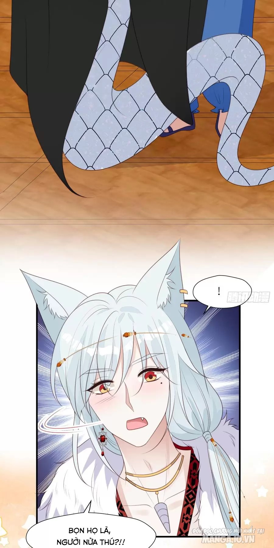Hoảng Hốt Sau Khi Xuyên Thành Kiều Thê Của Thú Nhân Chapter 244 - Trang 2