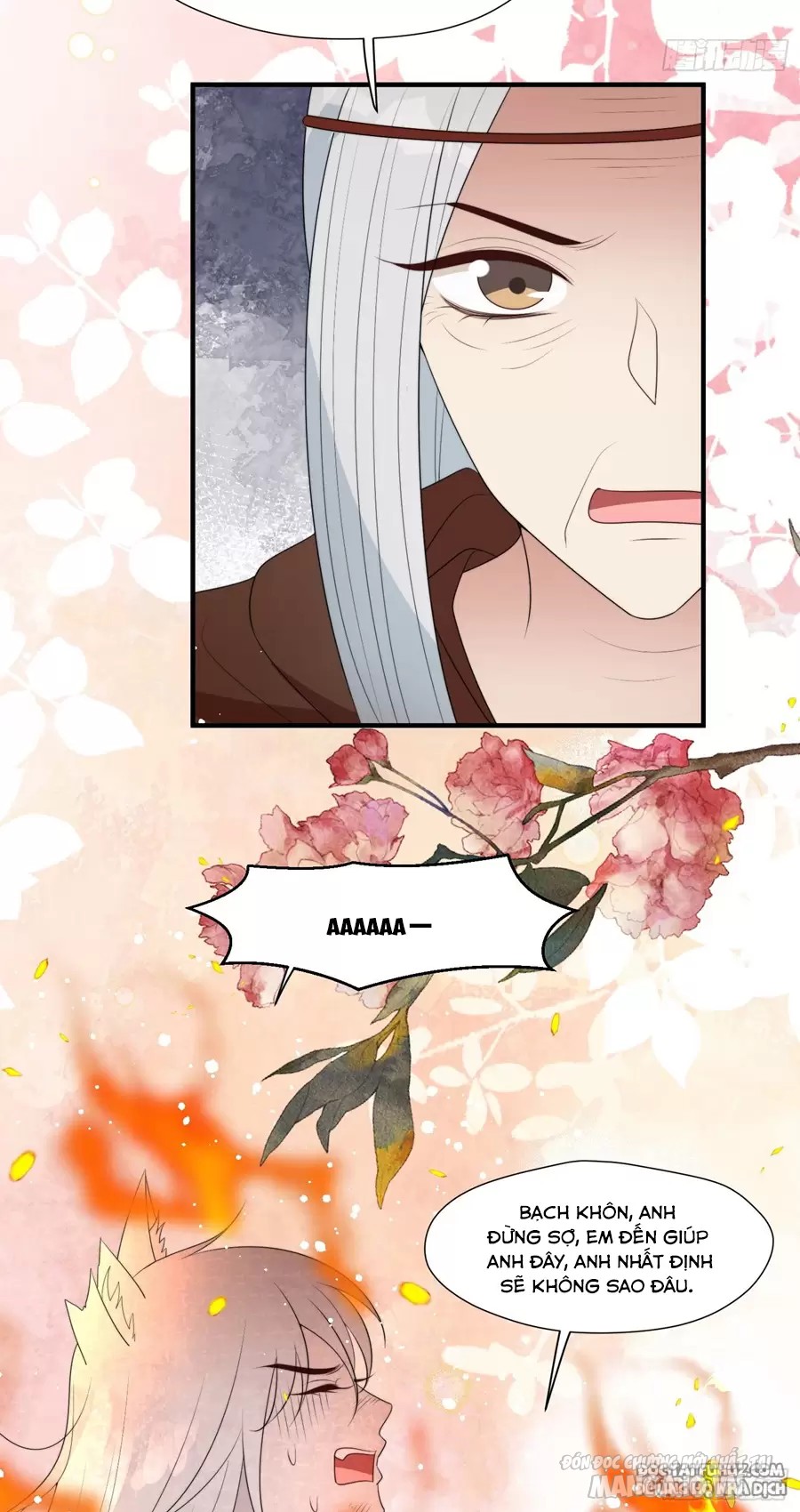 Hoảng Hốt Sau Khi Xuyên Thành Kiều Thê Của Thú Nhân Chapter 247 - Trang 2